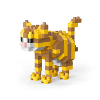 Tabby cat