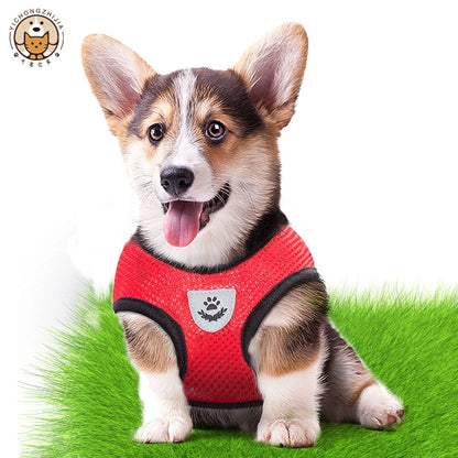 Mesh Dog Harness with Leash – Adjustable Breathable Vest