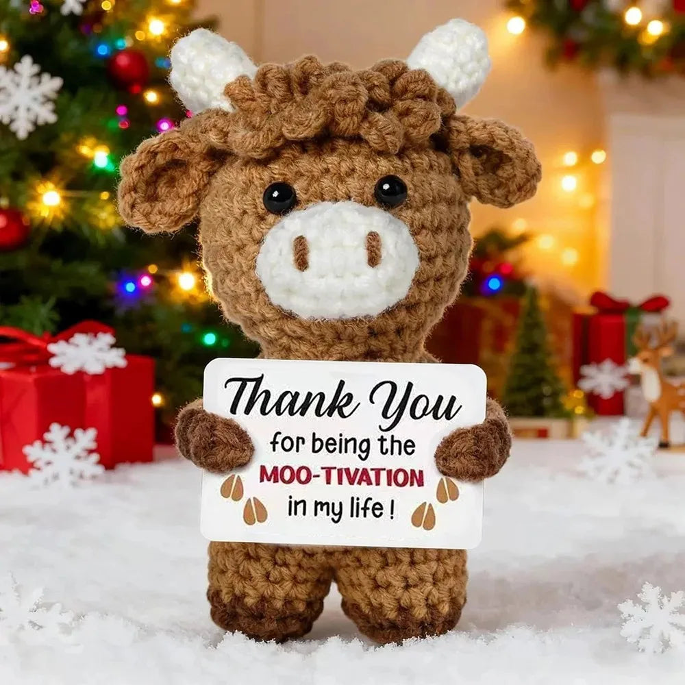 Crochet Pocket Hug Doll – Handmade Knitted Positive Energy Gift