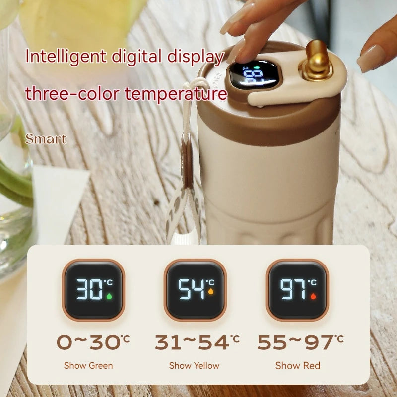 Insulated Thermos Tumbler 15oz with LED Temperature Display
