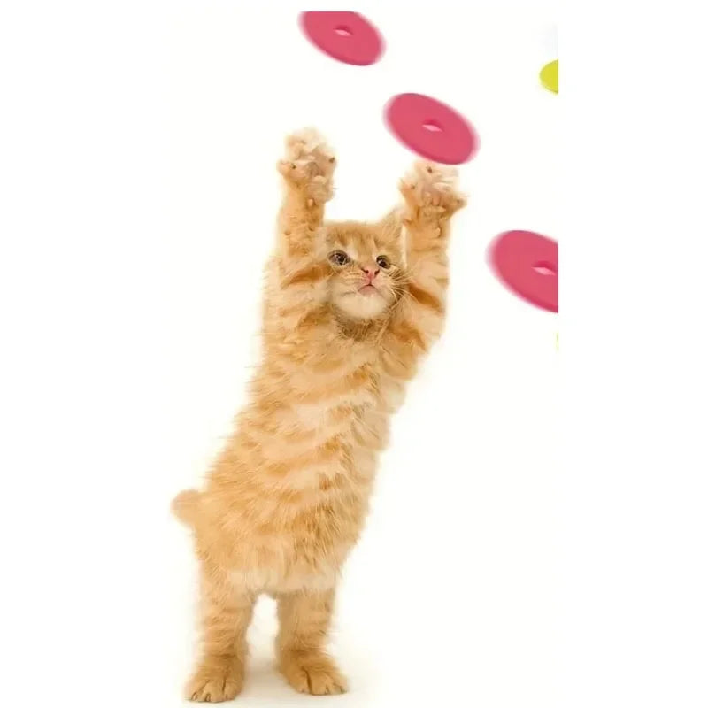 Interactive Foam Disc Launcher Pet Toy with 15 Frisbees
