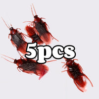 Cockroach 5pcs