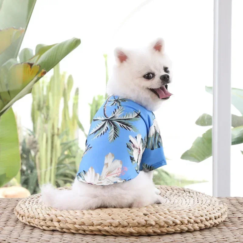Hawaiian Dog Shirt – Tropical Beach Shirt for Small & Medium Dogs