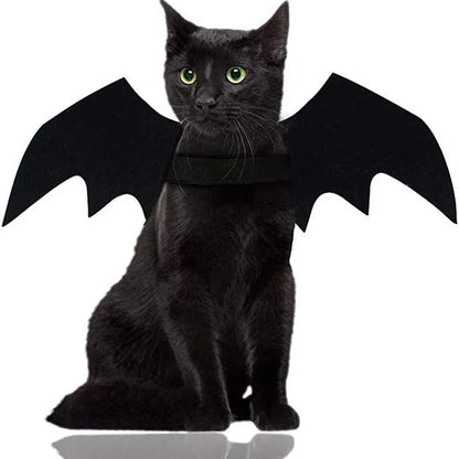 Black Bat Wings Halloween Costume for Cats and Small Dogs