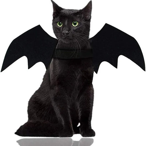 Black Bat Wings Halloween Costume for Cats and Small Dogs