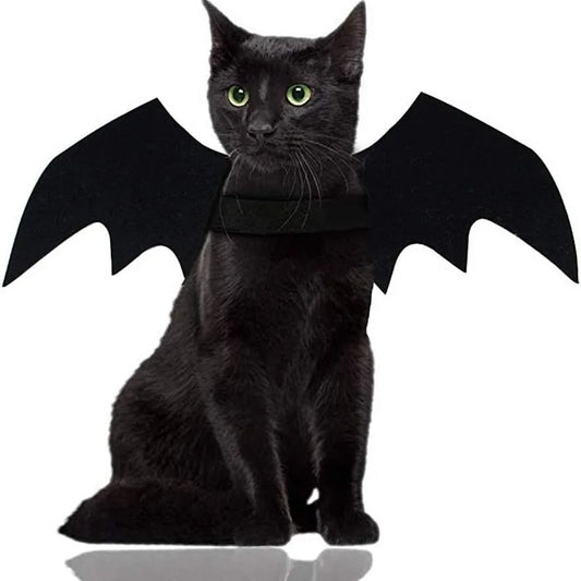 Black Bat Wings Halloween Costume for Cats and Small Dogs