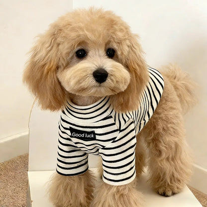 Dog Sweater – Striped Thermal Knit for Small Dogs