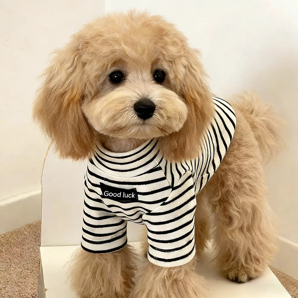 Dog Thermal Striped Shirt – Warm Winter Top for Small Breeds