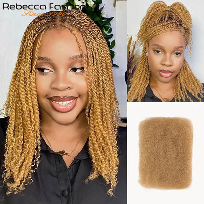 Afro Kinky Curly Bulk Human Hair for Braiding Remy No Attachment