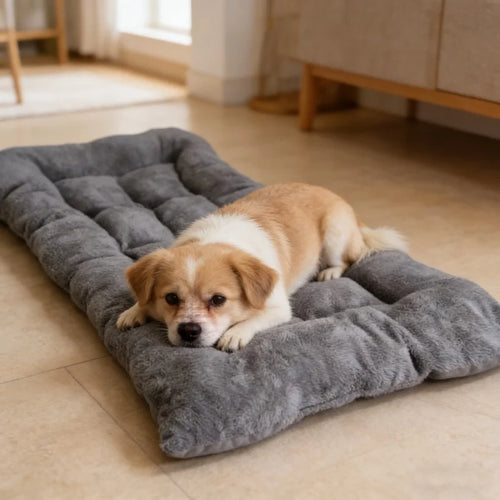 Plush Dog Bed Mat – Thickened Soft Polyester Crate Pad, S/M/L