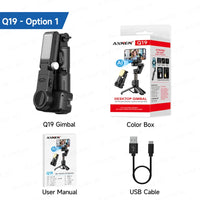 Ai Q19 Option 1
