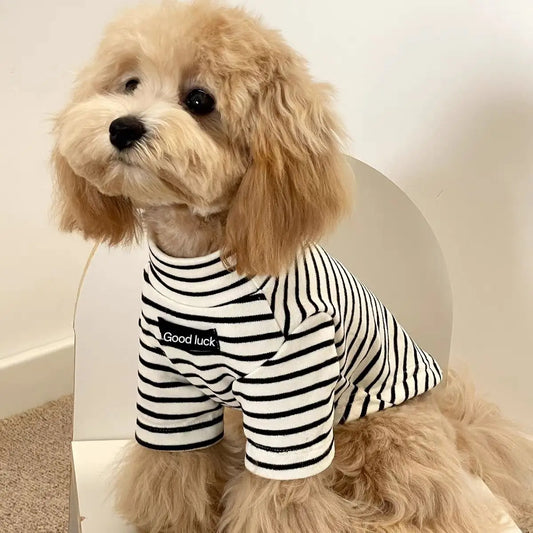 Dog Thermal Striped Shirt – Warm Winter Top for Small Breeds