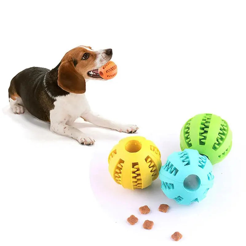 Dog Chew Toy Treat Feeder & Teeth Cleaning Ball
