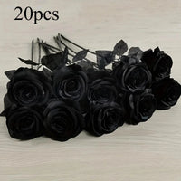 Black Roses 20PCS