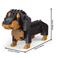 dachshund