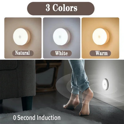 Motion Sensor LED Night Light USB Rechargeable 3 Color Modes (2–6 Pack)