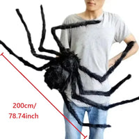 78.7in