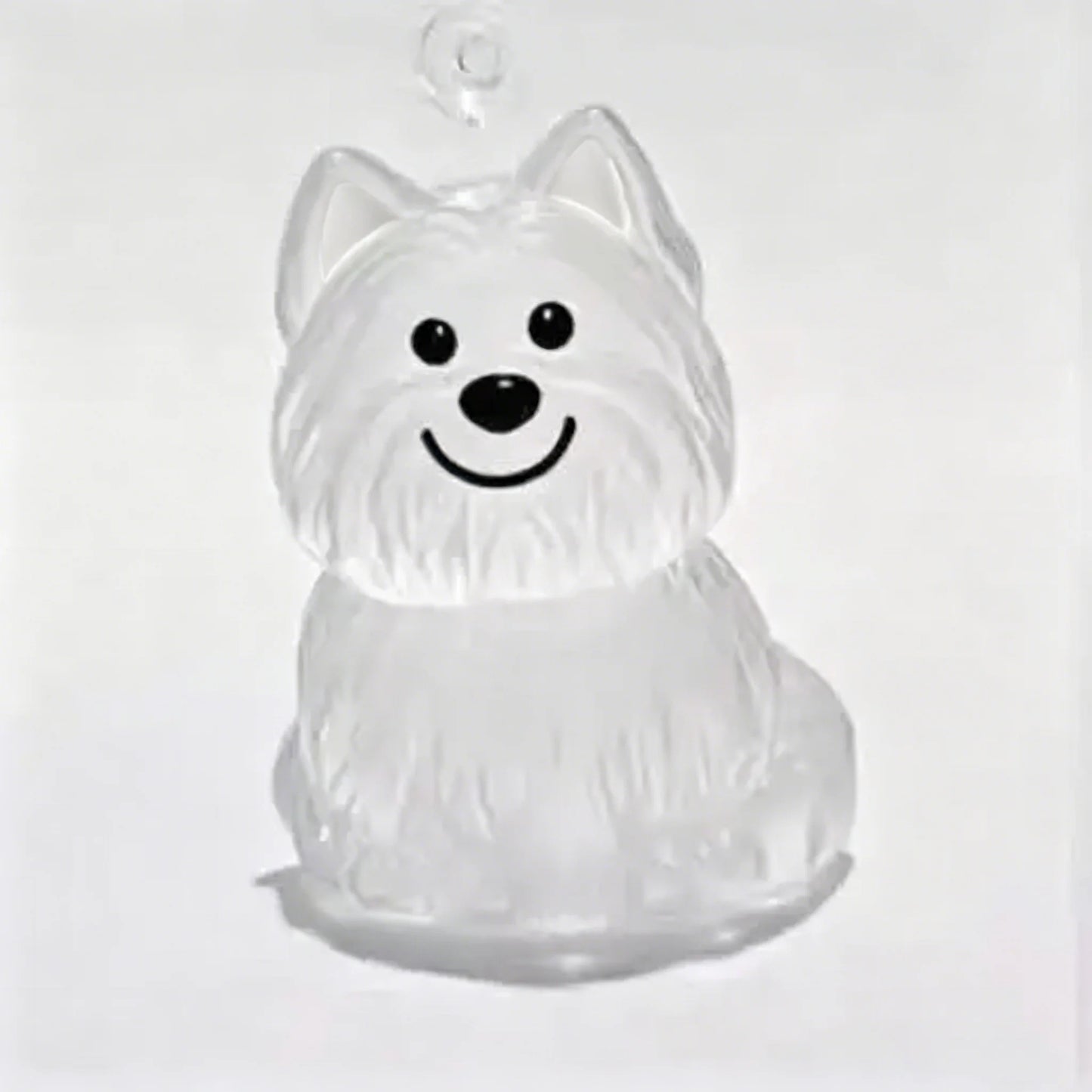 Pet Hair Memorial Keychain – Transparent Dog & Cat Pendant
