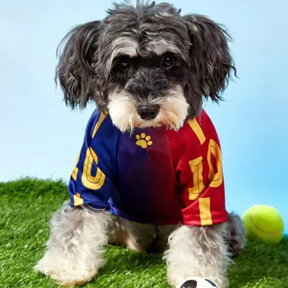 Dog Football Jersey No. 10 – Breathable Mesh Sport Shirt