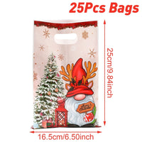 25pcs