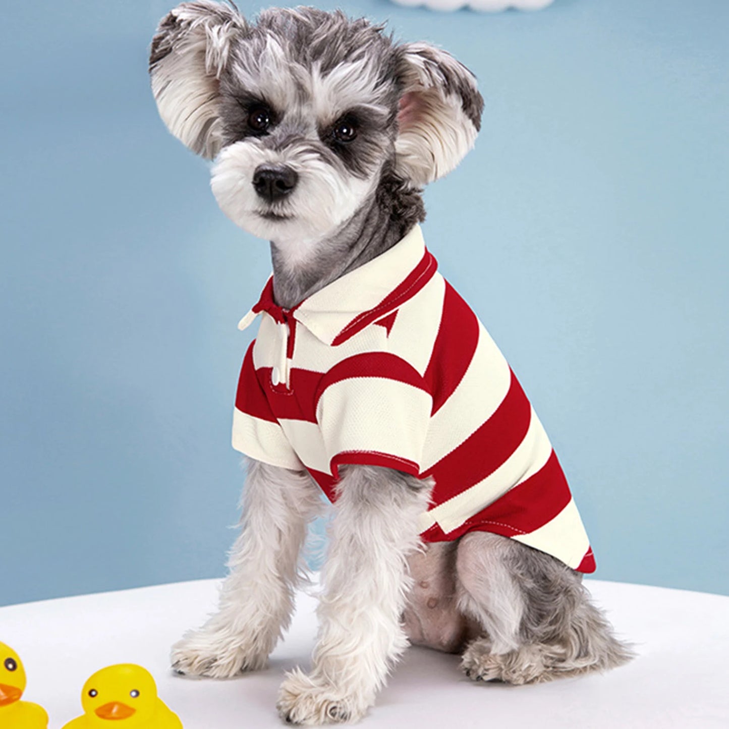 Striped Dog Polo Shirt for Small Dogs & Cats