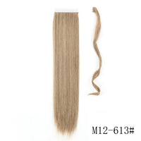 Si66 M12 613