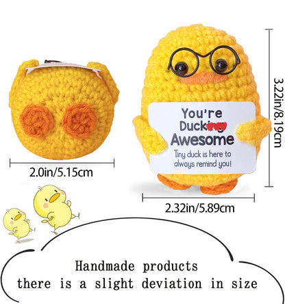 Crochet Pocket Hug Doll – Handmade Knitted Positive Energy Gift