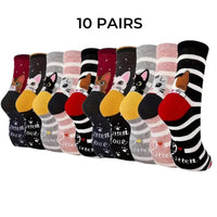 10 Pairs Multicolour