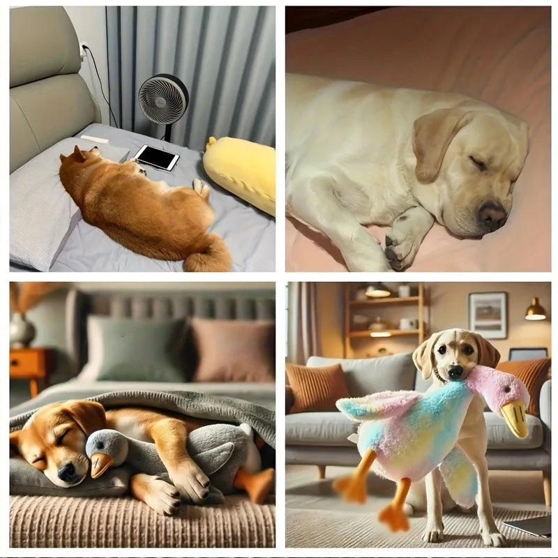 Soft Colorful Duck Plush Toy for Cats and Dogs