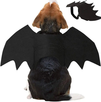 Black Bat Wings Halloween Costume for Cats and Small Dogs