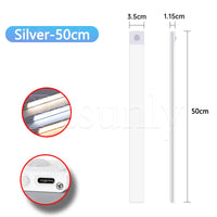 Silver-19.7in