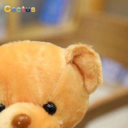 Stuffed Teddy Bear Plush Toy 30cm – Soft Colorful Bear Doll