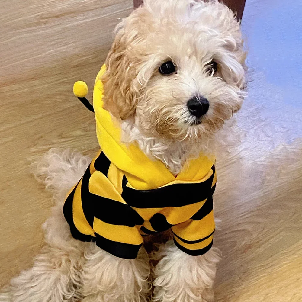 Bee Halloween Hoodie Costume for Small Medium Dogs and Cats