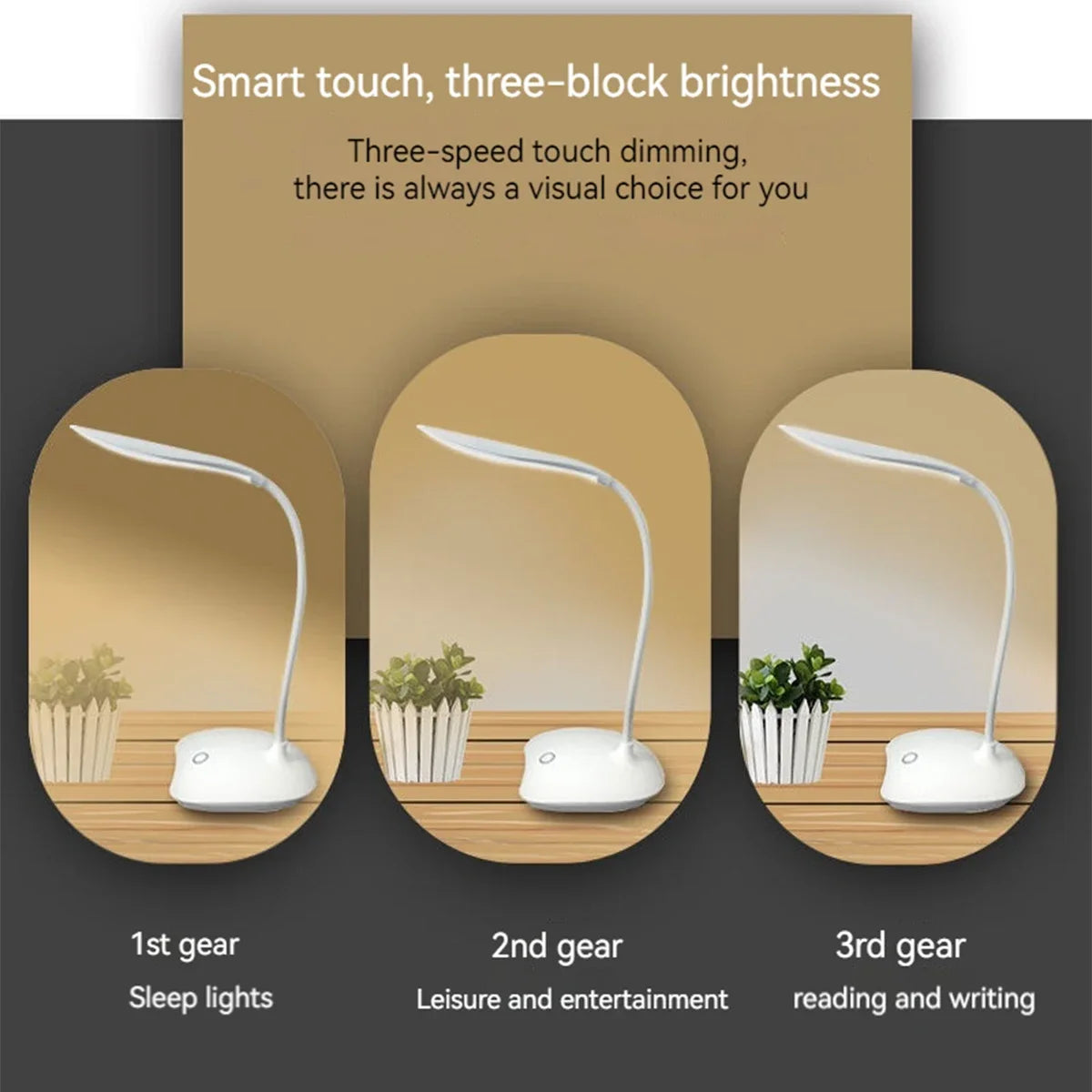 LED Desk Lamp with USB Charging & Touch Dimming