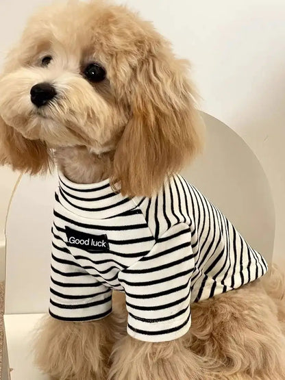 Dog Sweater – Striped Thermal Knit for Small Dogs