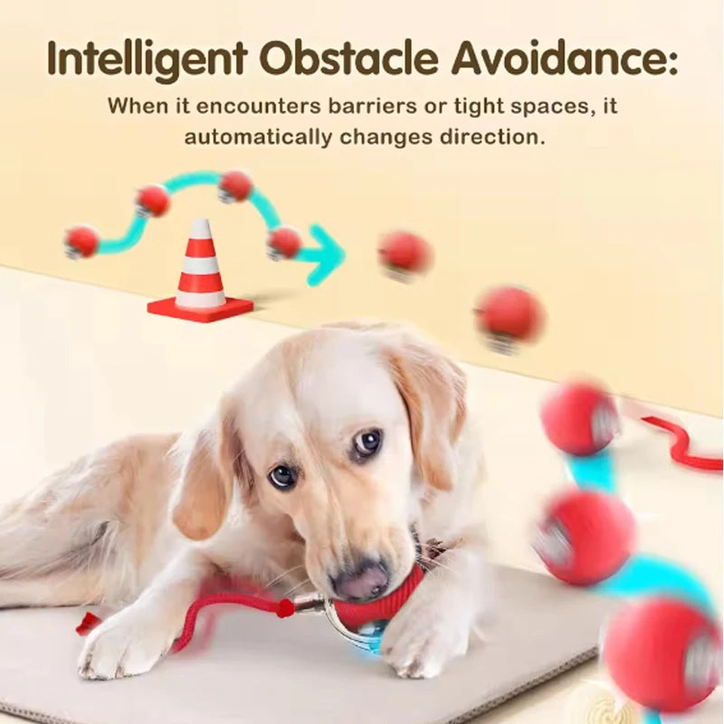 Interactive Cat Ball Toy with Rope – Auto Rolling Electric Silicone