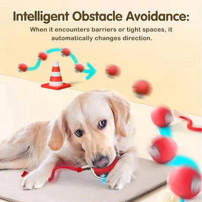 Interactive Cat Ball Toy with Rope – Auto Rolling Electric Silicone