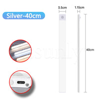 Silver-15.7in