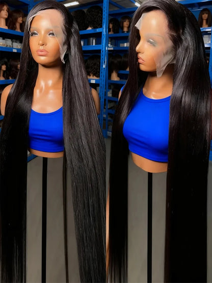 13x6 HD Lace Front Wig Straight Human Hair Glueless Malaysian Virgin
