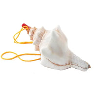 Conch