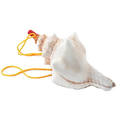 Moana Princess Costume Dress for Girls