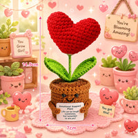 red heart Potted