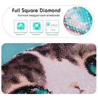 Full Square