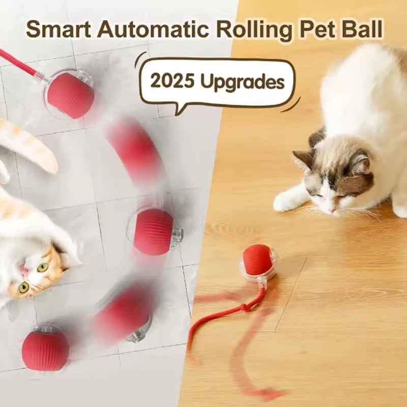 Interactive Cat Ball Toy with Rope – Auto Rolling Electric Silicone